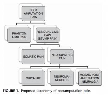 Clarke et al 2013 have proposed a taxonomy of postamputation pain