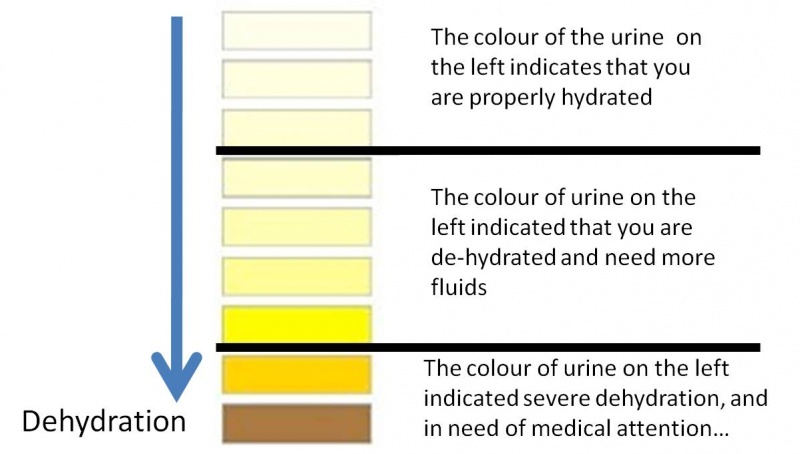 File:Urine chart dehydration.jpg