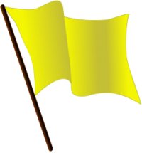 Yellow flag.png