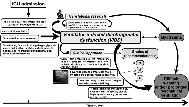 File:VIDD Clinical practice guidelines- from article.webp