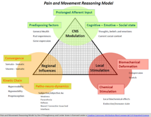 Pain & Movement Reasoning Model.png