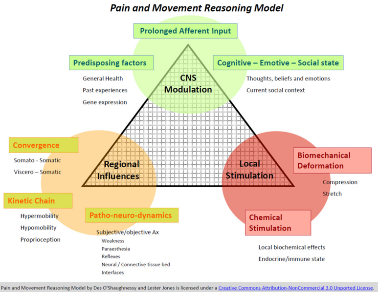 File:Pain & Movement Reasoning Model.png