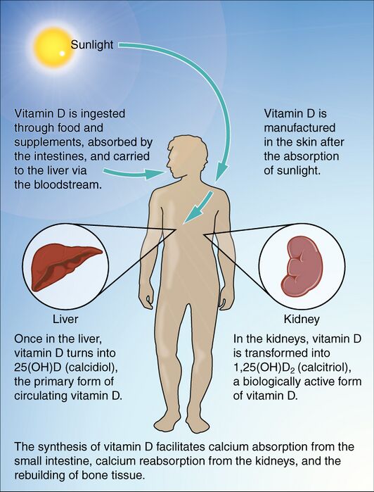 Image result for Why Vitamin D Matters in Disease Prevention infographics