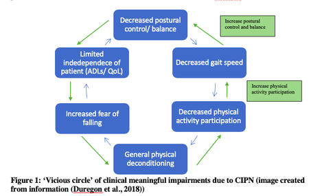 Figure 1: ‘Vicious circle’ of clinical meaningful impairments due to CIPN (image created using information from Duregon et al 2018 [1])