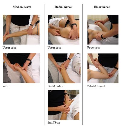 carpal tunnel syndrome physiopedia)