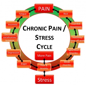 Pain Stress relation.jpg