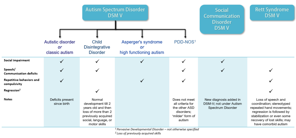 Autism Spectrum Disorder Subcategories
