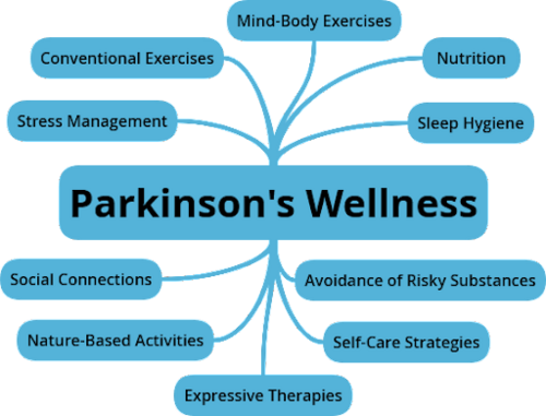 Components of Parkinson's Lifestyle Wellness: Stress Management, Conventional Exercise, Mind-Body Exercise, Nutrition, Sleep Hygiene, Avoidance of Risky Substances, Self-Care Strategies, Expressive Therapies, Nature-Based Activities, and Social Connections