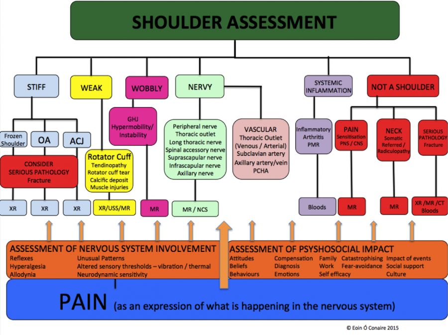 Muscle Assessment Chart