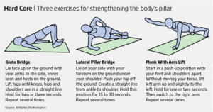 Core stability exercises.gif