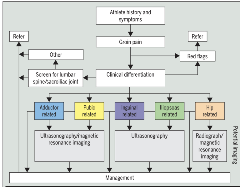 File:Clinical framework for assessing groin pain.png