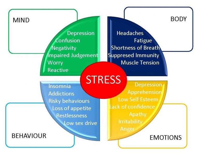 File:Effects of stress diagram.jpg