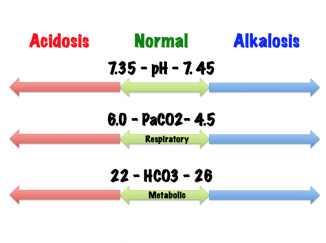 respiratory acidosis can be compensated for by _______
