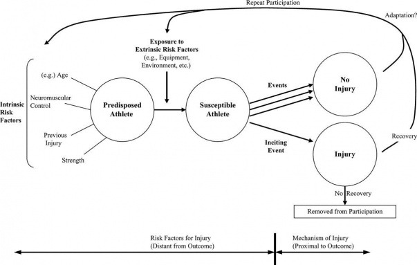 Model of Risk Factors.jpg