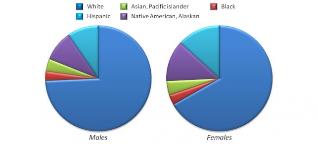 incidence of melanoma among race and gender