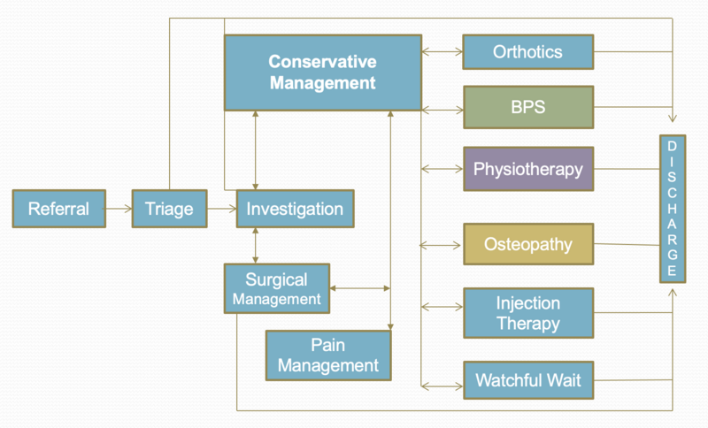 File:Spinal Triage Diagram for Low Back Pain .png