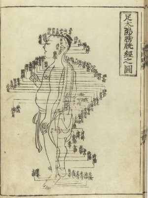 300px Acupuncture traditional