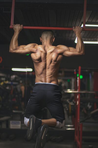 File:Back Muscles gym.jpeg